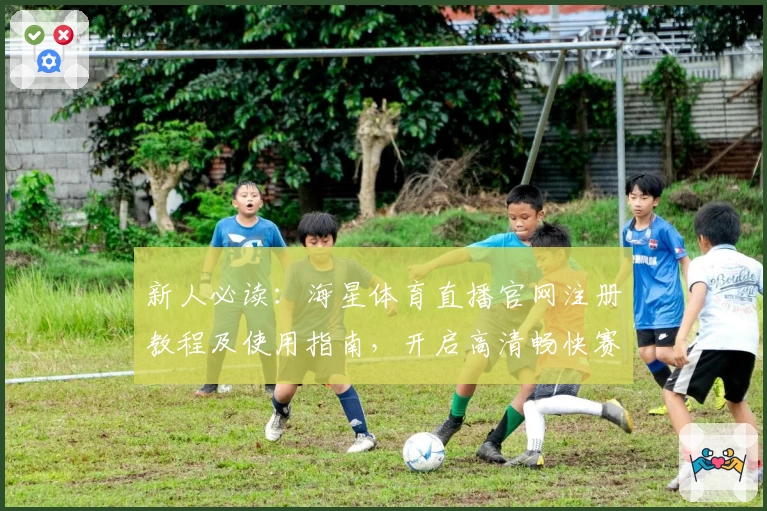 新人必读：海星体育直播官网注册教程及使用指南，开启高清畅快赛事体验