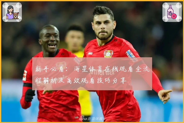 新手必看：海星体育在线观看全流程解析及高效观看技巧分享