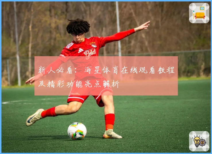 新人必看：海星体育在线观看教程及精彩功能亮点解析
