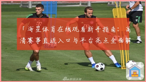 「海星体育在线观看新手指南：高清赛事直连入口与平台亮点全面解析」